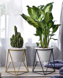 Home_plants_9_Geometric planter minimalist style_3