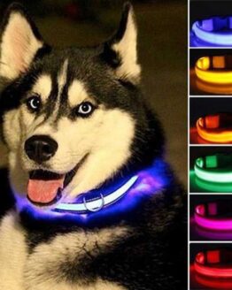 dogs_collars and leads_1_Nylon LED Pet dog Collar,Night Safety Flashing Glow In The Dark_8
