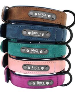 dogs_collars and leads_6_Dog Collars Personalized Custom Leather Dog Collar Name ID_6
