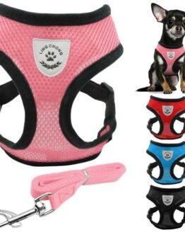 dogs_collars and leads_9_New Soft Breathable Air Nylon Mesh Puppy Dog Pet Cat Harness and Leash Set_5