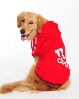 dogs_dog clothing_4_Winter Dogs coat Hoodie Apparel Clothing for dogs Sportswear_5