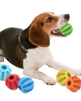 dogs_toys_1_Dog Toy Interactive Rubber Balls Pet Dog Cat Puppy ElasticityTeeth Ball_7