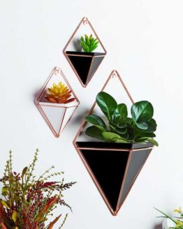 Home_plants_11_Wall Hanging Container Storage Plants Geometric_7
