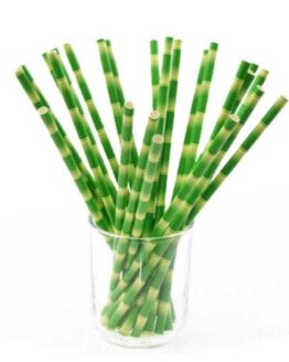 Party_Birthday and Party_17_Bamboo Party Straws_1