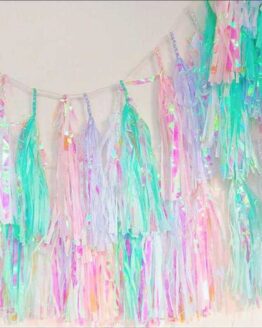 Party_Birthday and Party_81_Iridescent Tassel Garland Paper Banner_1