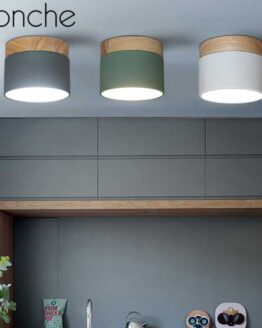 home_light_33_Modern LED Ceiling Lights Nordic Iron Wood colorful_1