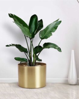 home_plants_21_metal golden silver vase Flower Pot_1
